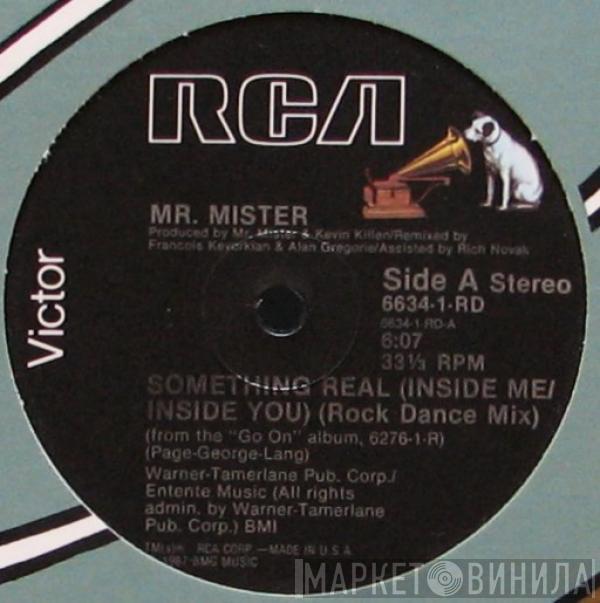  Mr. Mister  - Something Real (Inside Me/Inside You)