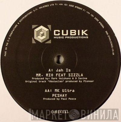 Mr. Rio, Sizzla, Peshay - Jah Is / MK Ultra