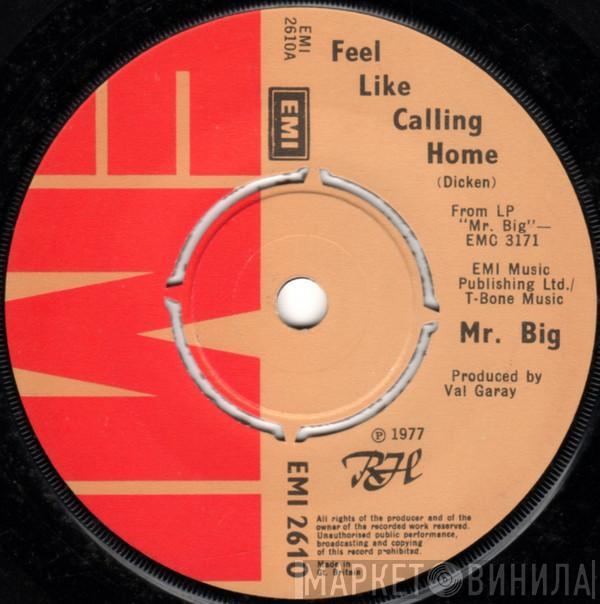 Mr Big - Feel Like Calling Home