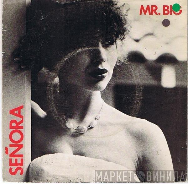  Mr Big  - Señora