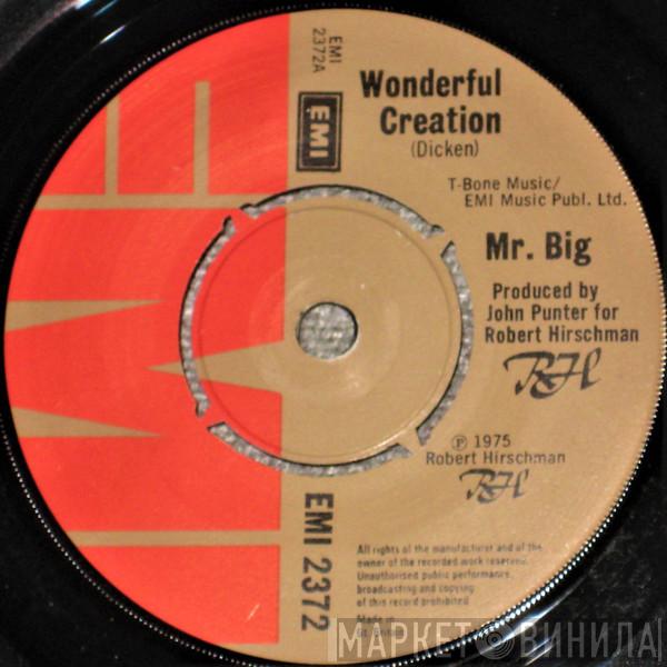 Mr Big - Wonderful Creation
