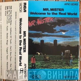  Mr. Mister  - Welcome To The Real World
