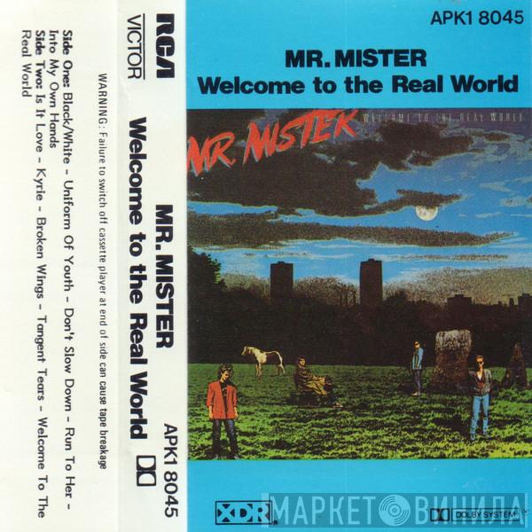  Mr. Mister  - Welcome To The Real World