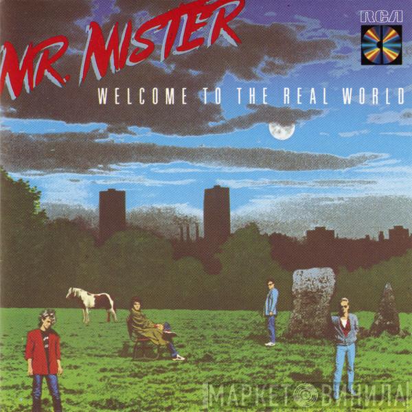  Mr. Mister  - Welcome To The Real World