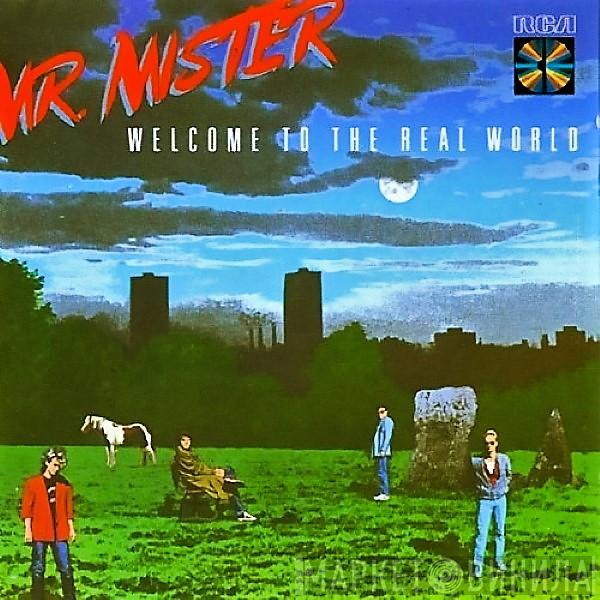 Mr. Mister - Welcome To The Real World