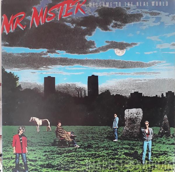  Mr. Mister  - Welcome To The Real World