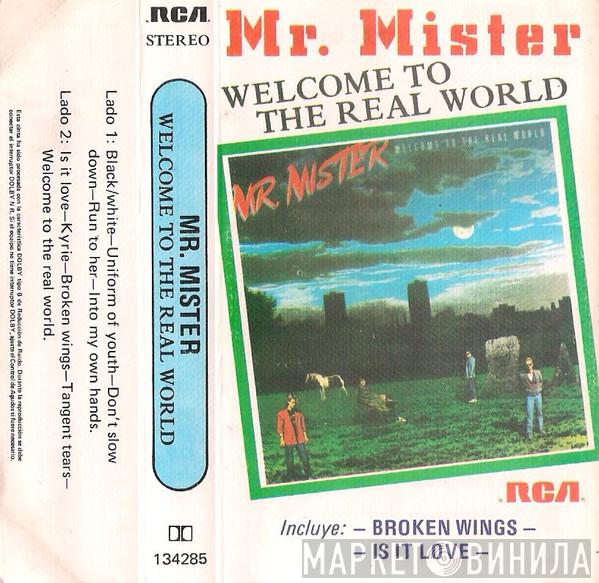  Mr. Mister  - Welcome To The Real World