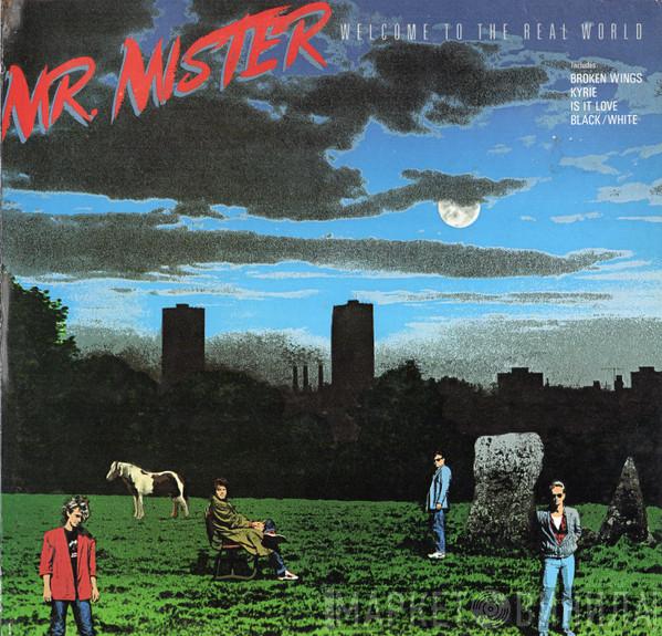  Mr. Mister  - Welcome To The Real World