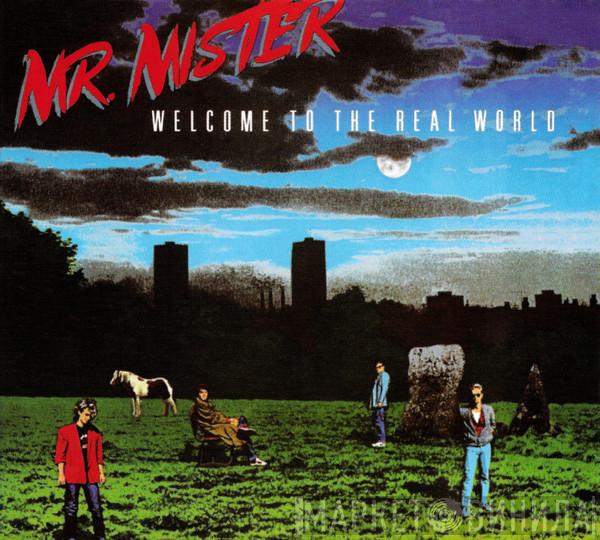  Mr. Mister  - Welcome To The Real World
