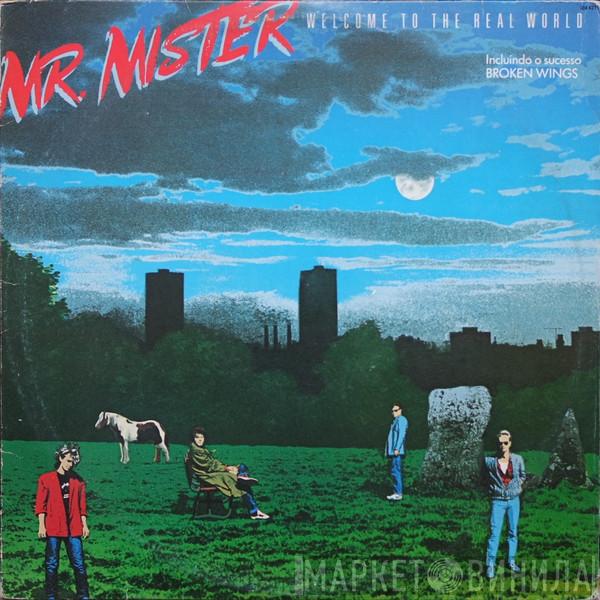  Mr. Mister  - Welcome To The Real World
