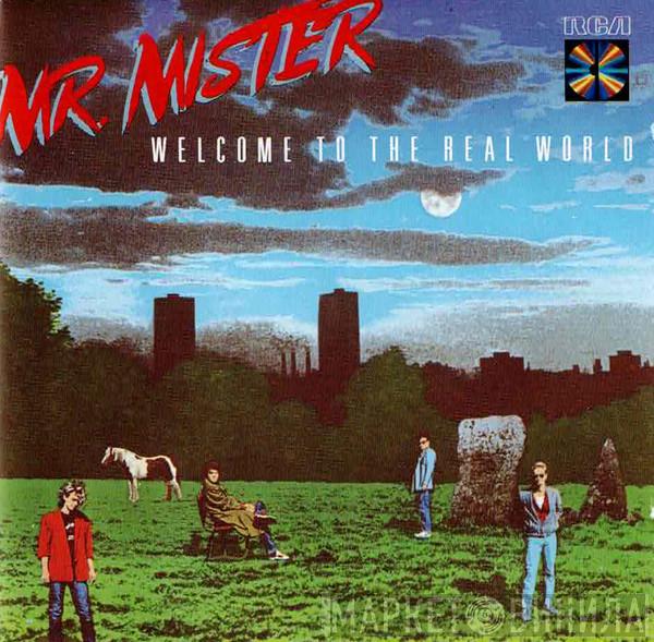  Mr. Mister  - Welcome To The Real World