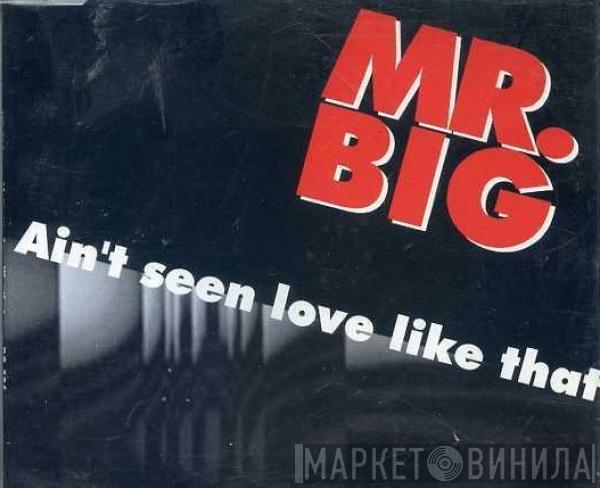 Mr. Big - Ain't Seen Love Like That