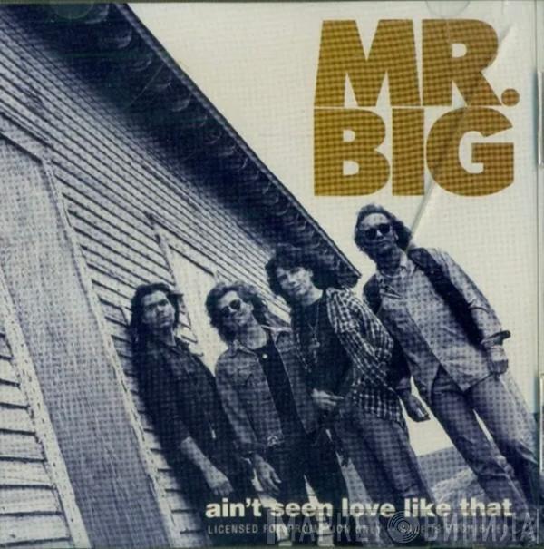  Mr. Big  - Ain't Seen Love Like That