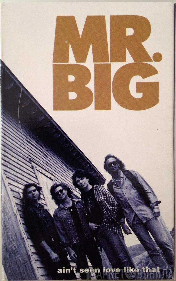  Mr. Big  - Ain't Seen Love Like That