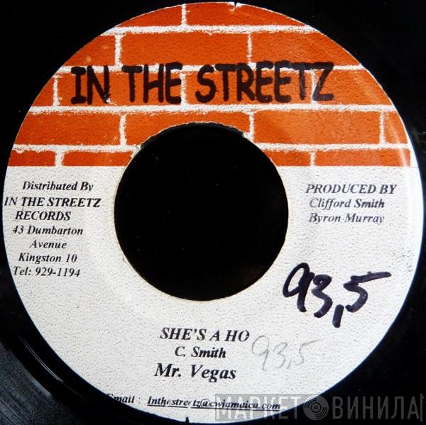  Mr. Vegas  - She's A Ho