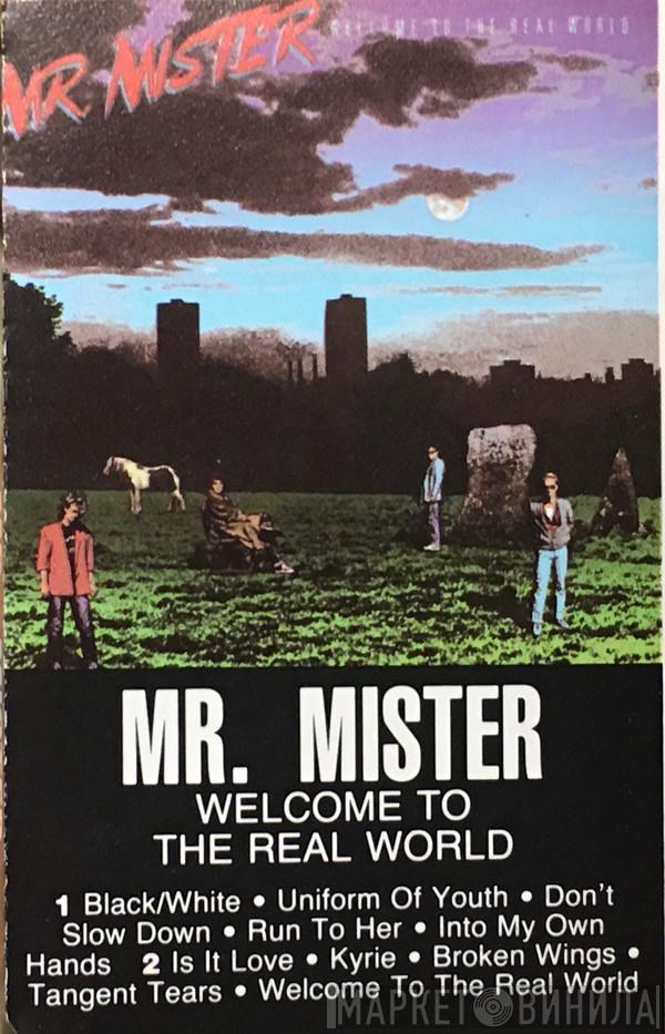  Mr. Mister  - Welcome To The Real World