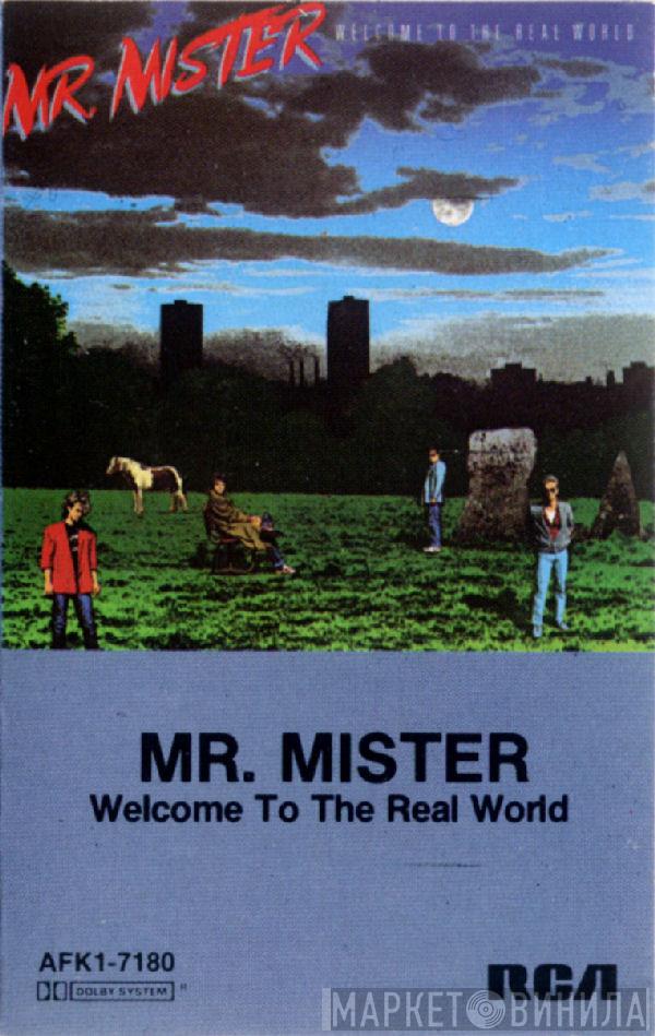  Mr. Mister  - Welcome To The Real World