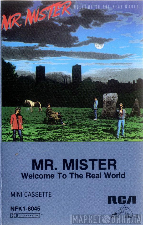  Mr. Mister  - Welcome To The Real World