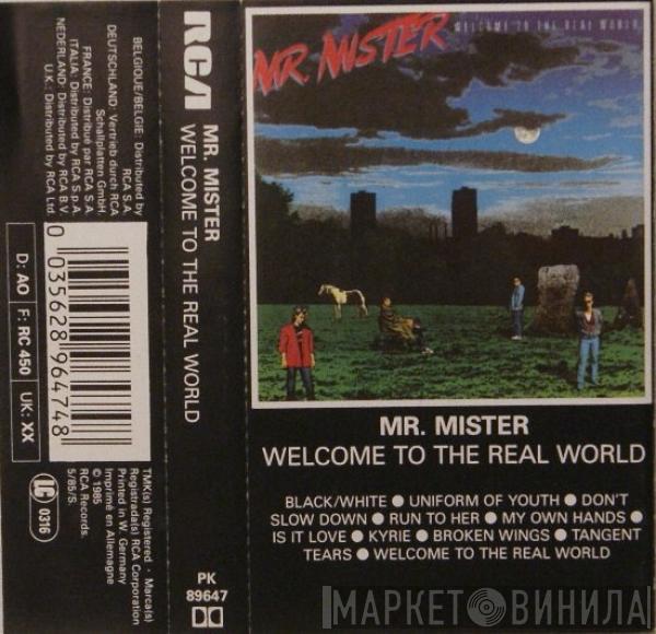  Mr. Mister  - Welcome To The Real World