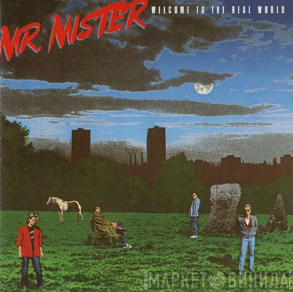  Mr. Mister  - Welcome To The Real World