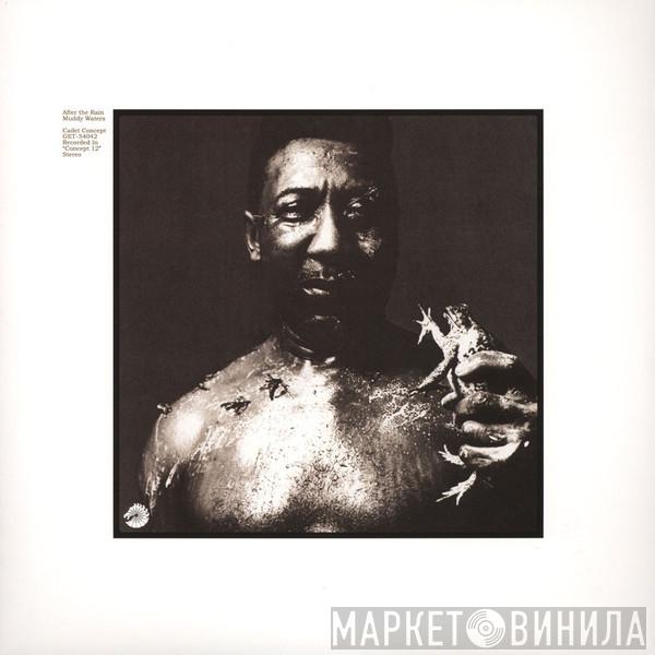 Muddy Waters - After The Rain