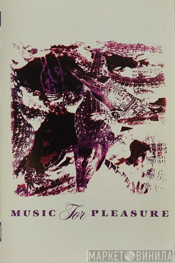 Music For Pleasure - Into The Rain