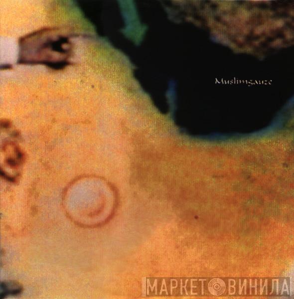  Muslimgauze  - Melt