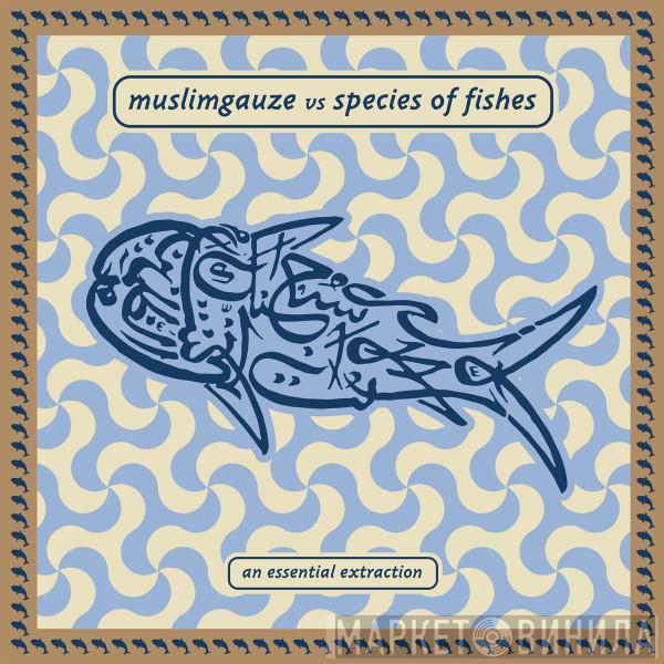 Muslimgauze vs Species Of Fishes - An Essential Extraction