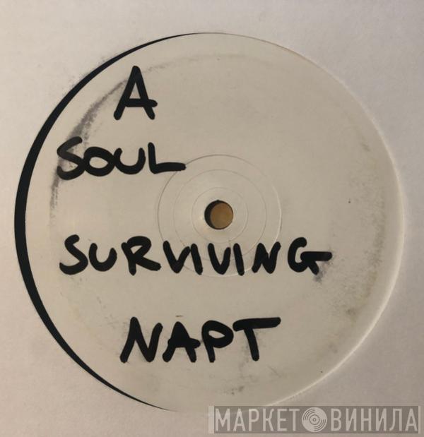 Napt - Soul Surviving