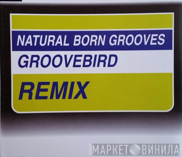  Natural Born Grooves  - Groovebird Remix