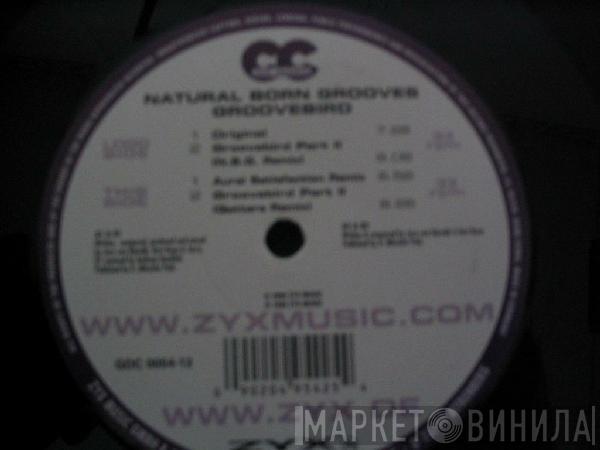  Natural Born Grooves  - Groovebird