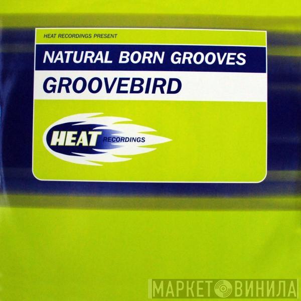 Natural Born Grooves - Groovebird