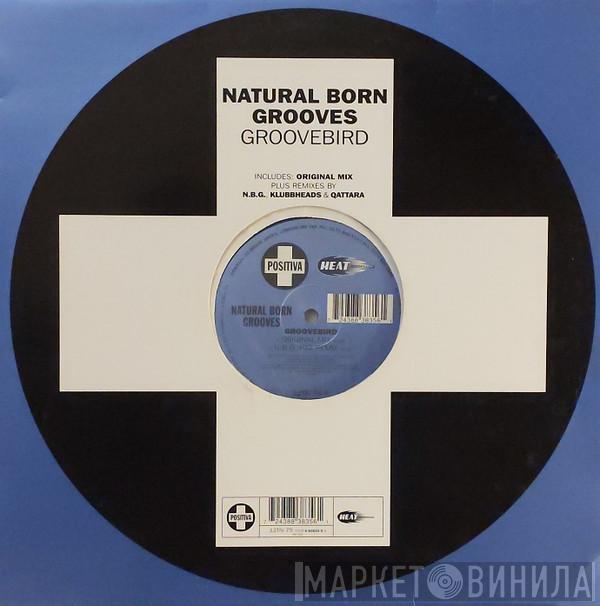  Natural Born Grooves  - Groovebird