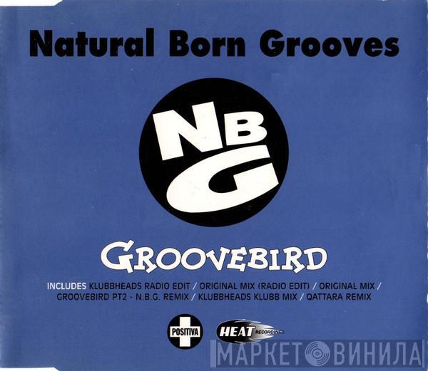 Natural Born Grooves - Groovebird