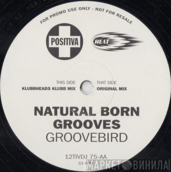  Natural Born Grooves  - Groovebird