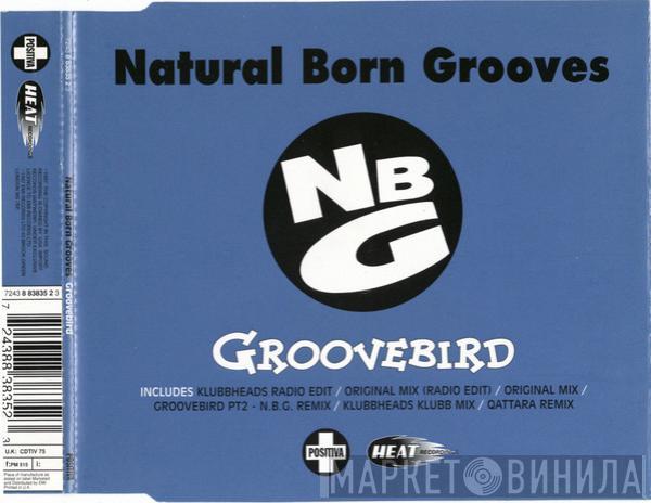  Natural Born Grooves  - Groovebird