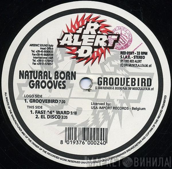 Natural Born Grooves - Groovebird