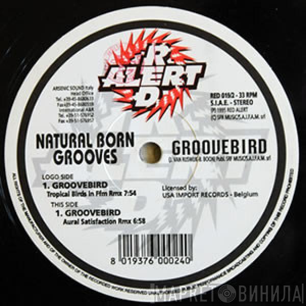 Natural Born Grooves - Groovebird