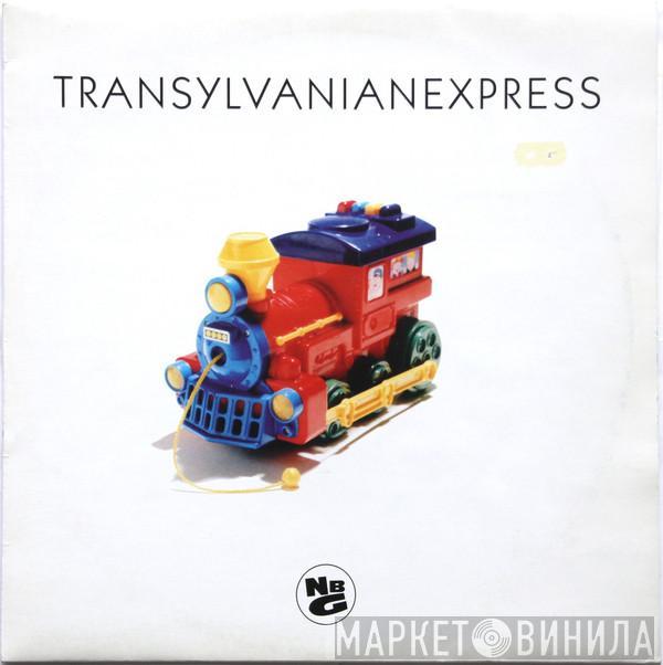 Natural Born Grooves - Transylvanian Express