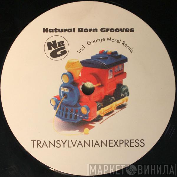 Natural Born Grooves - Transylvanianexpress (Remixes)