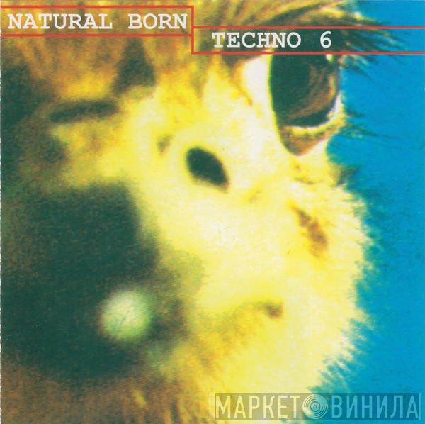 - Natural Born Techno 6