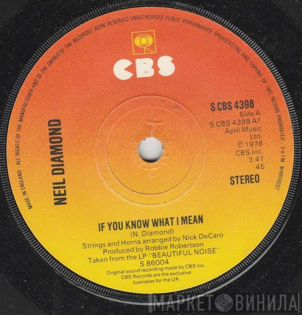 Neil Diamond - If You Know What I Mean