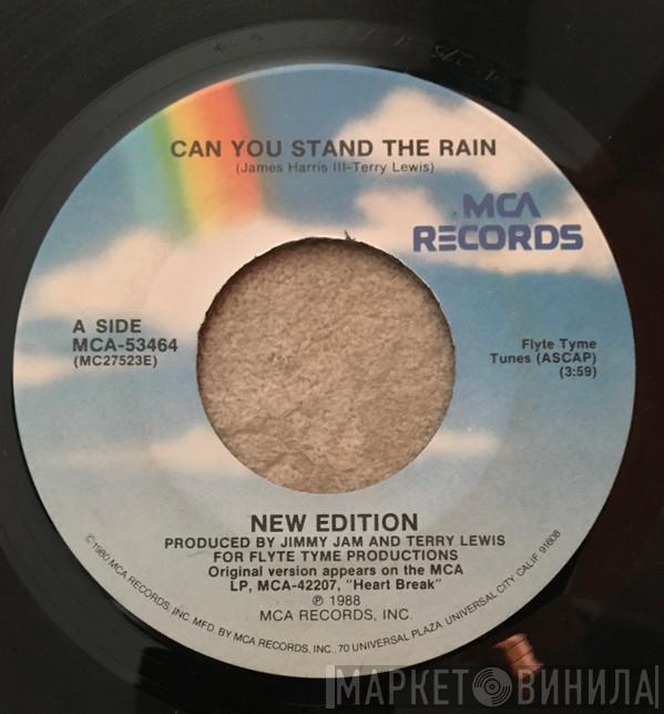  New Edition  - Can You Stand The Rain