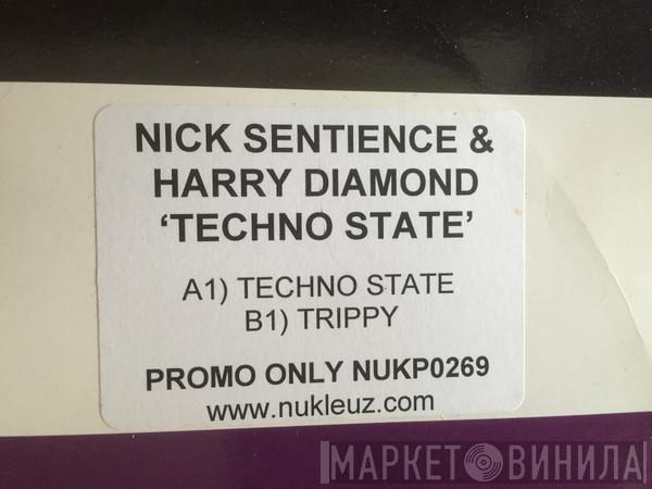Nick Sentience, Harry Diamond - Techno State