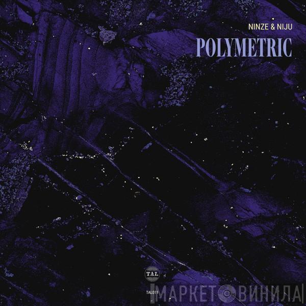 Ninze & Niju - Polymetric