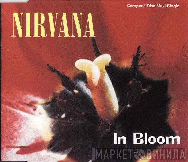  Nirvana  - In Bloom