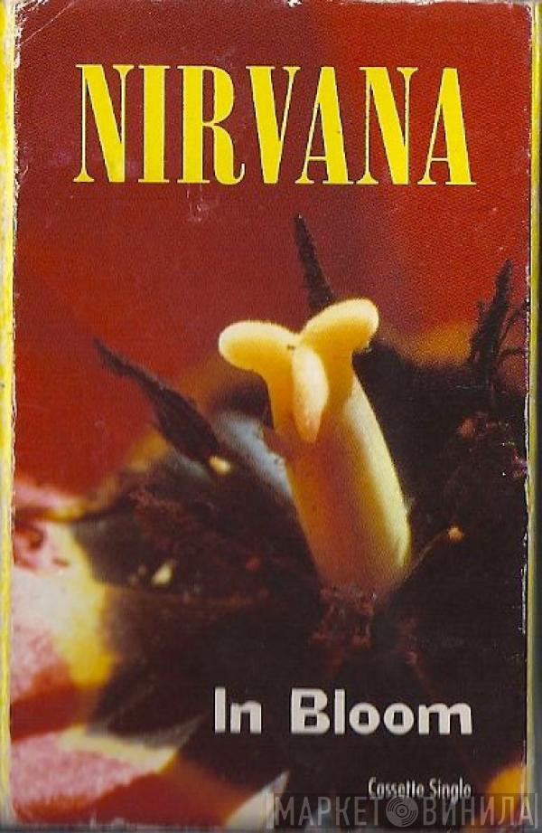  Nirvana  - In Bloom