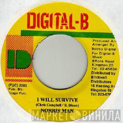Norrisman - I Will Survive