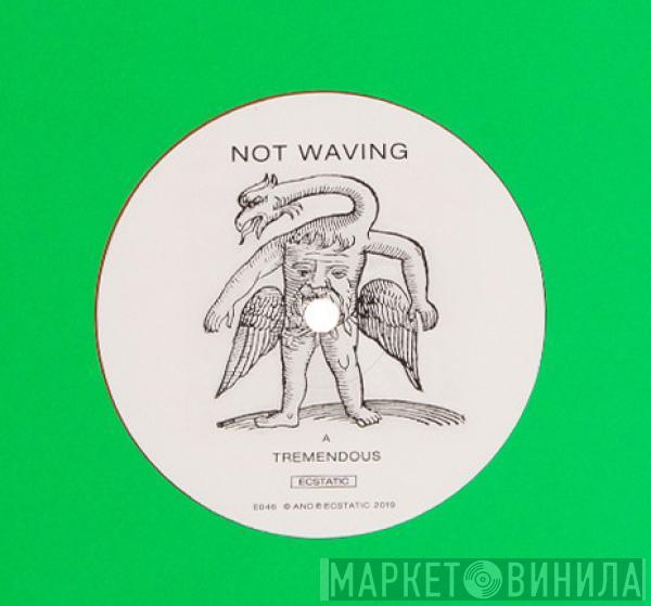 Not Waving - Tremendous​ / ​S​.​M.