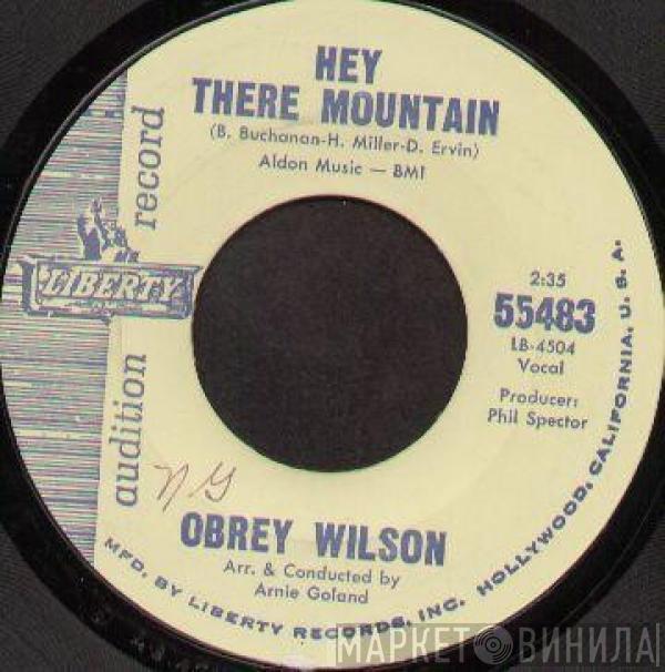 Obrey Wilson - Hey There Mountain / Say It Again